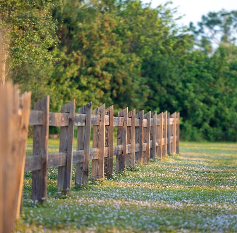 property border line in Los Angeles