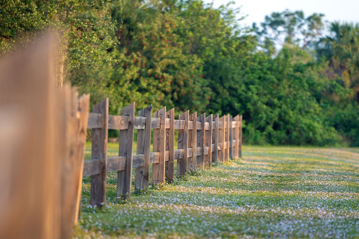 property border line in Los Angeles