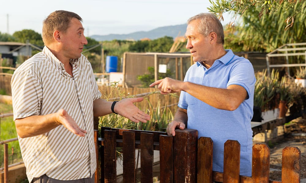 neighbors arguing over a border line in San Diego